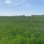 In Near The Apartamento Nieuwpoort