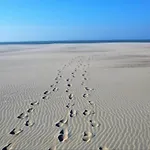 In Near The Nieuwpoort