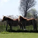 In Near The Apartamento Nieuwpoort