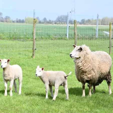 Daire In Near The Nieuwpoort