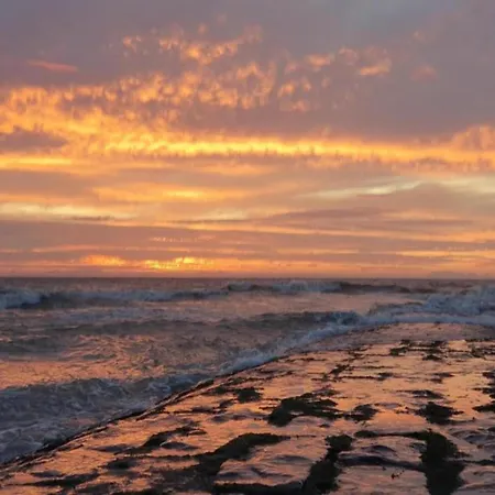 In Near The Daire Nieuwpoort