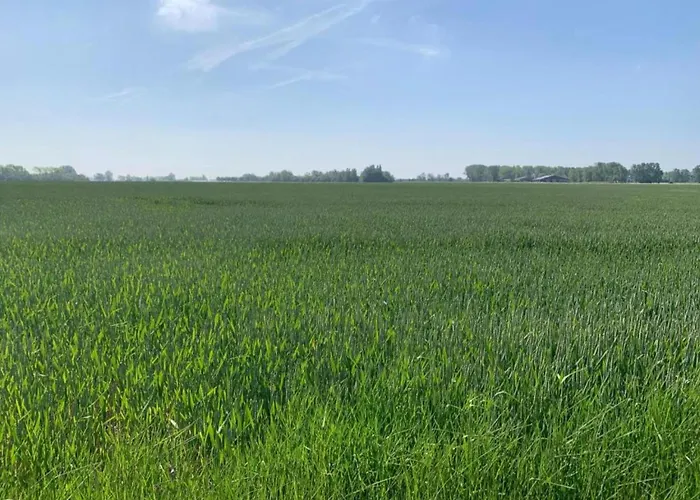 In Near The Apartment Nieuwpoort