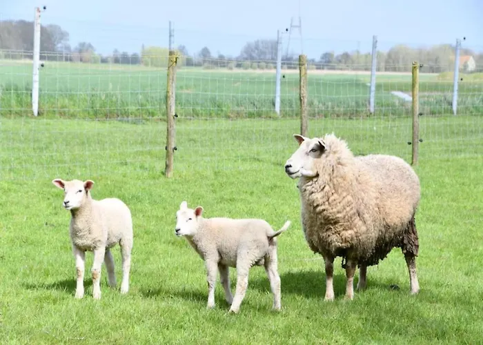 Apartment In Near The Nieuwpoort
