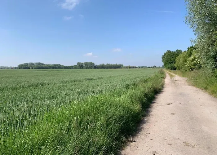 In Near The Apartment *